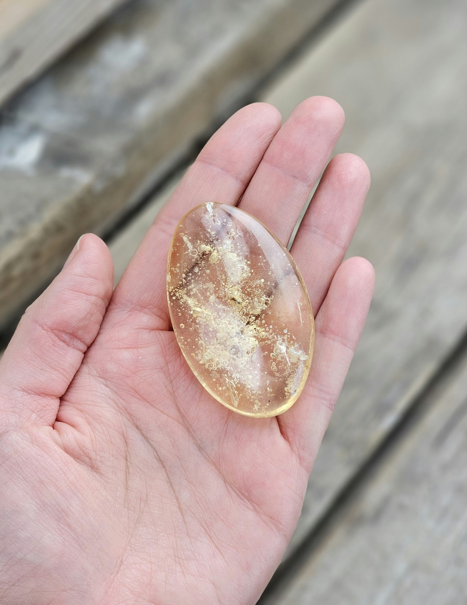 Copal med insekter #18