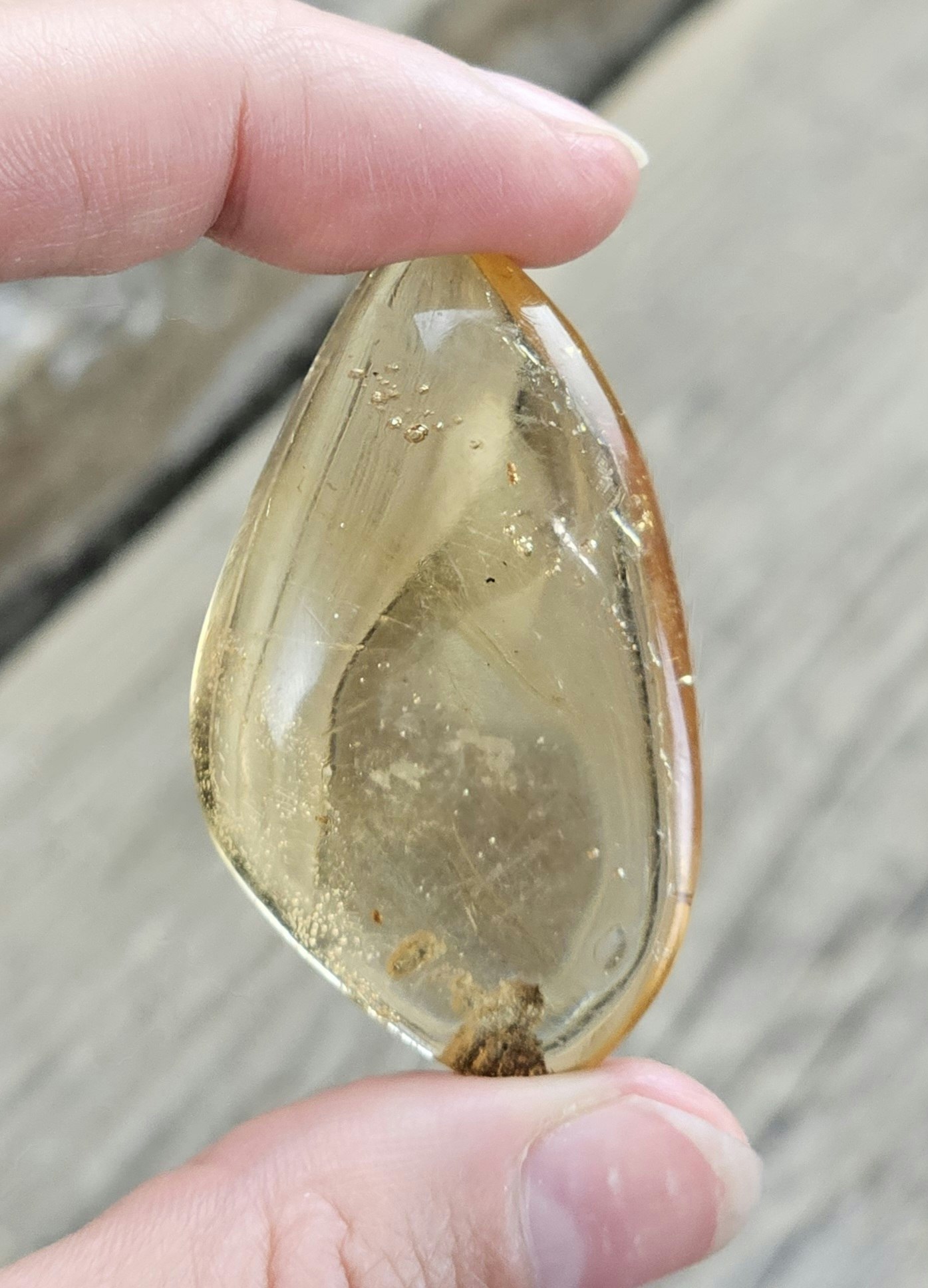 Copal med insekter #20