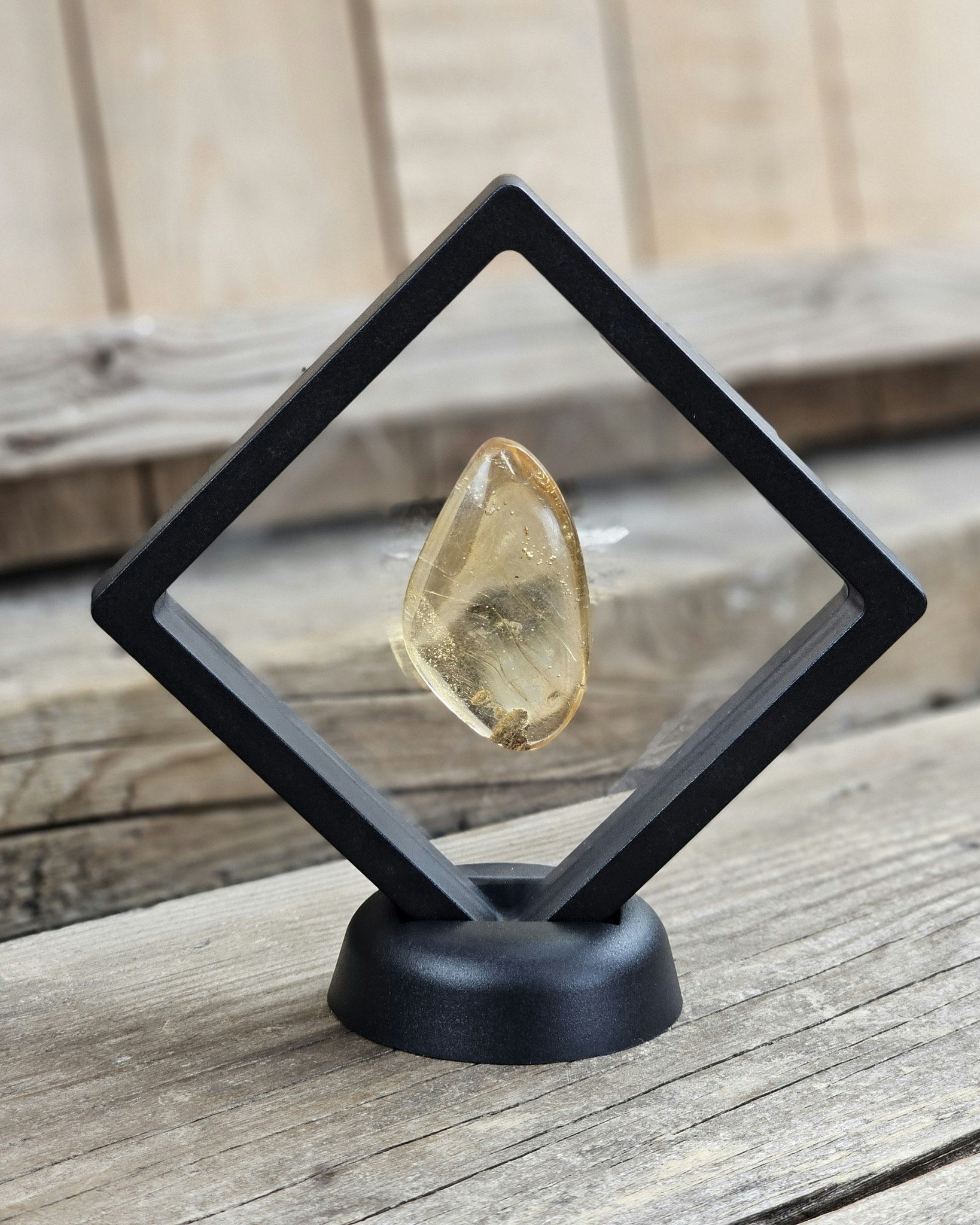 Copal med insekter #20