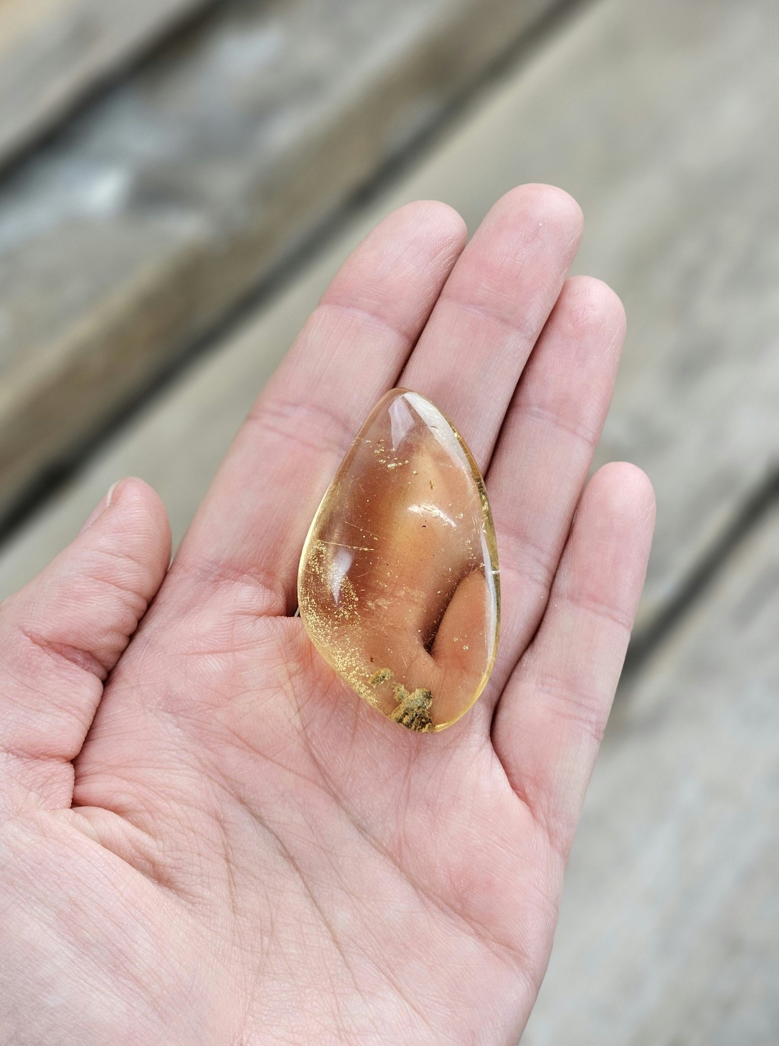 Copal med insekter #20