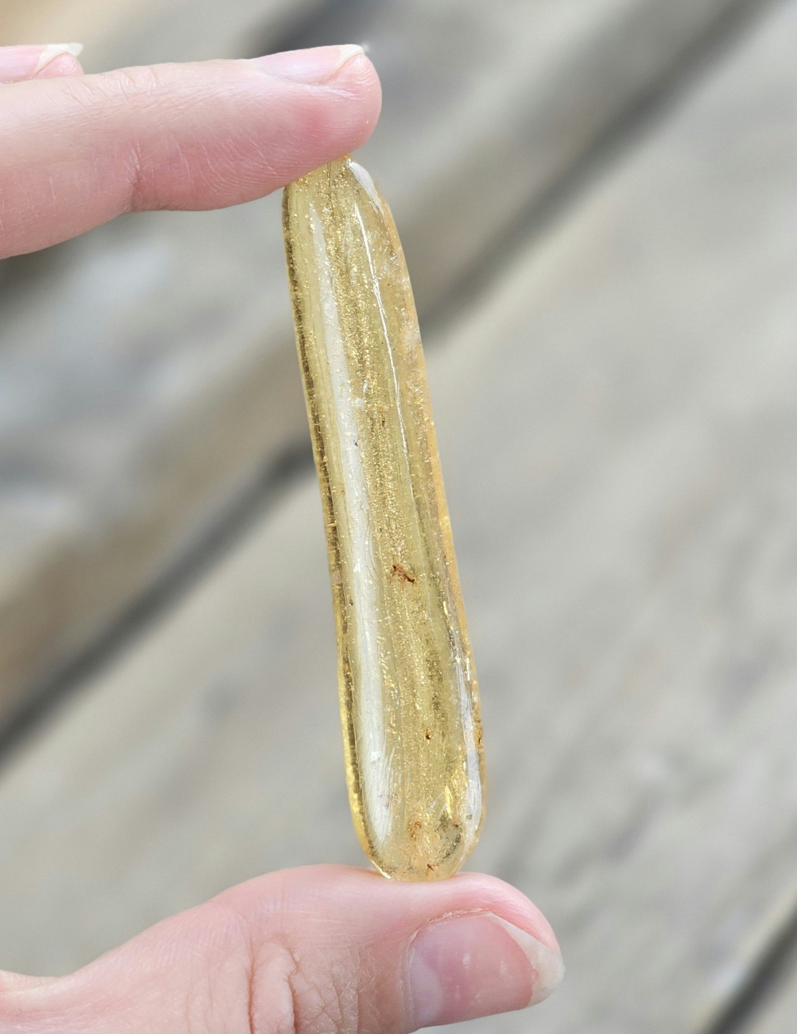 Copal med insekter #21