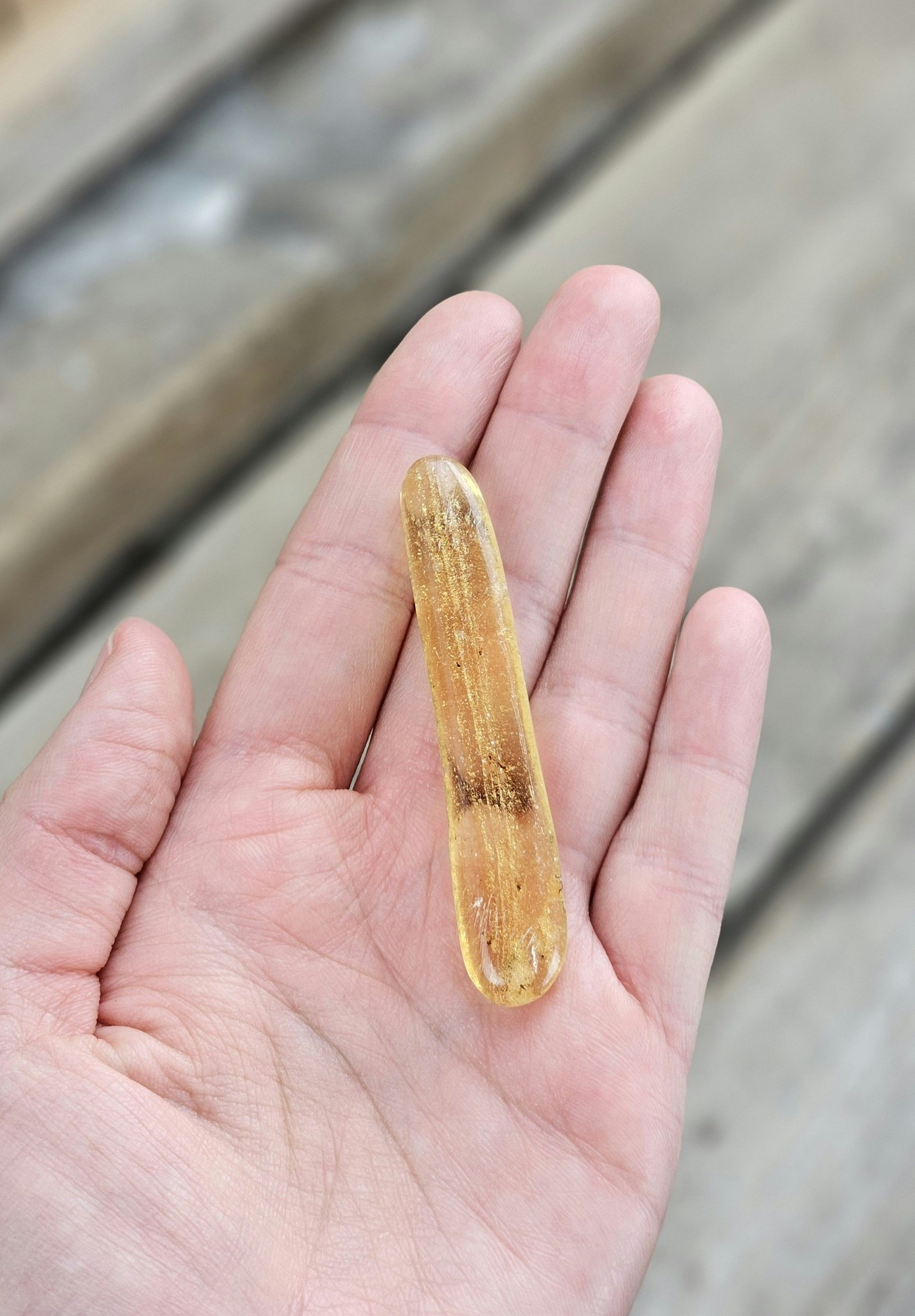 Copal med insekter #21