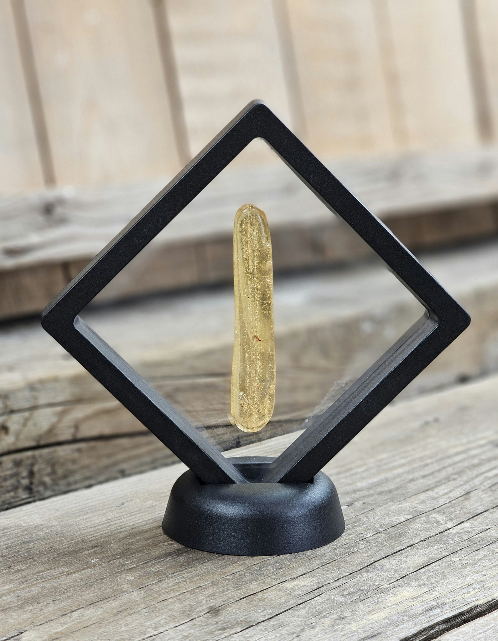 Copal med insekter #21