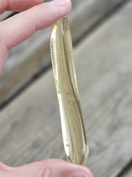 Copal med insekter #22