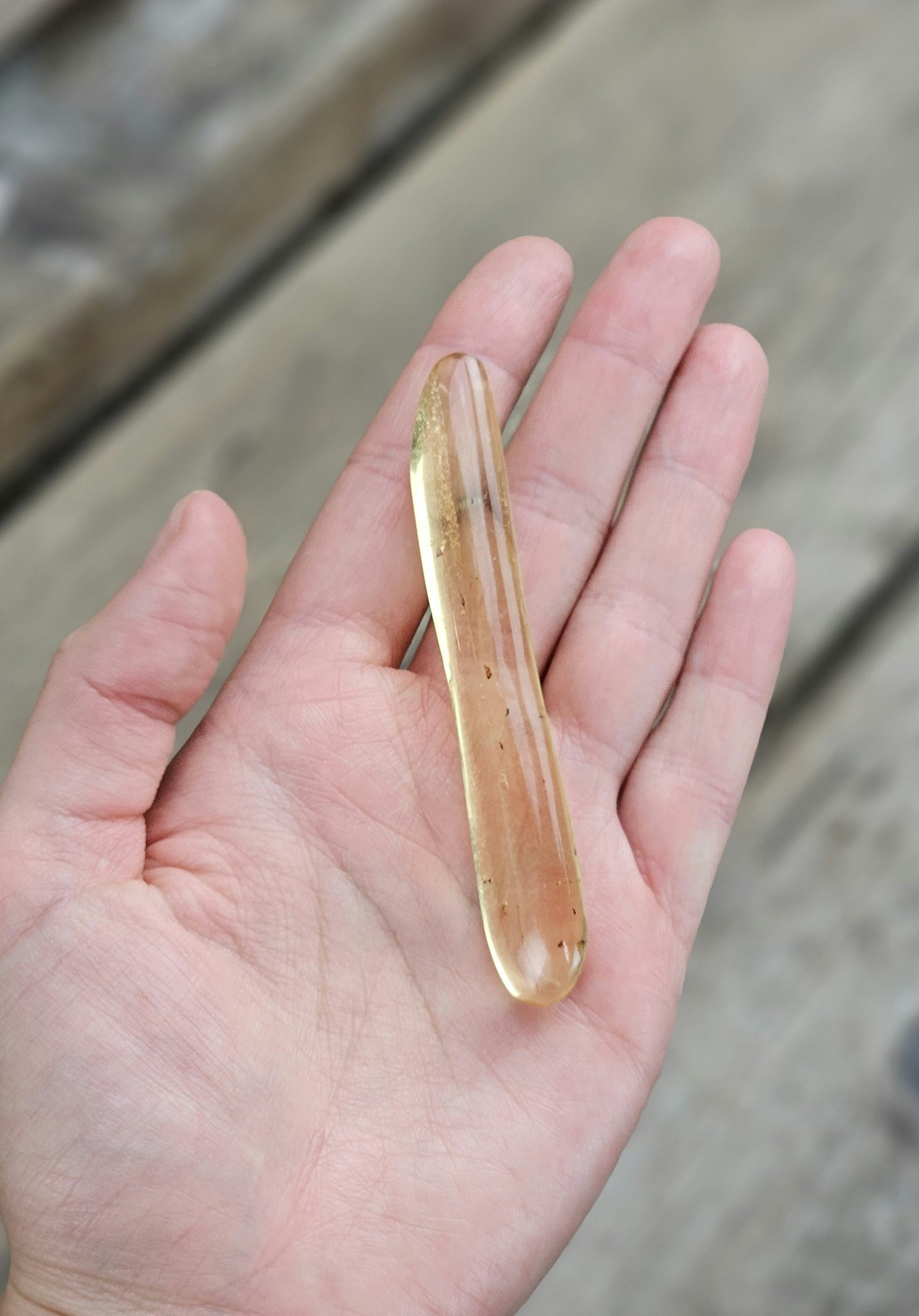 Copal med insekter #22