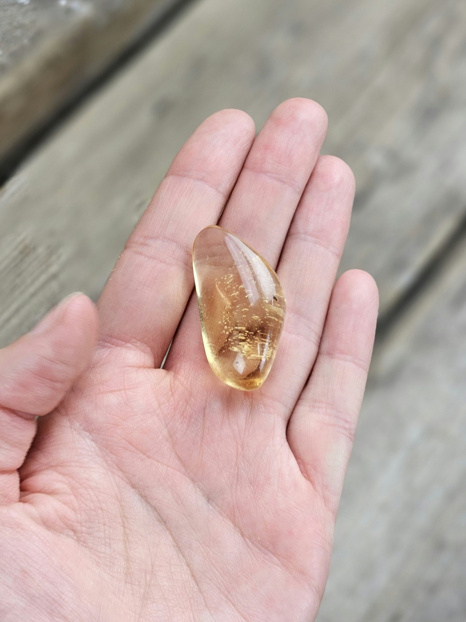 Copal med insekter #25