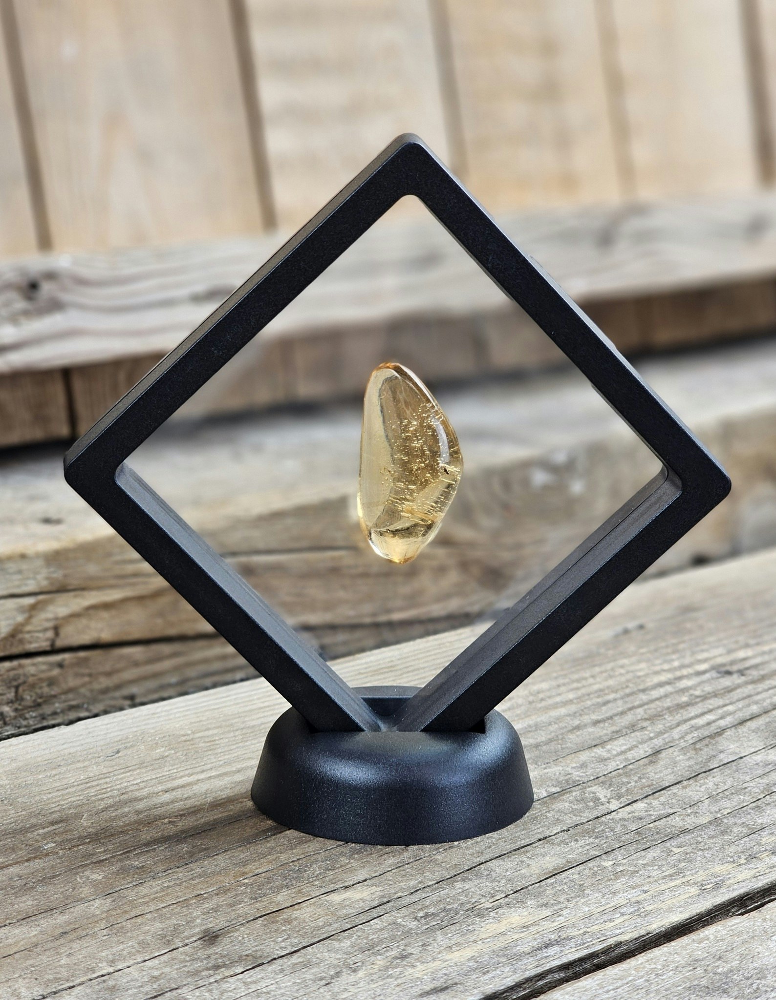 Copal med insekter #25