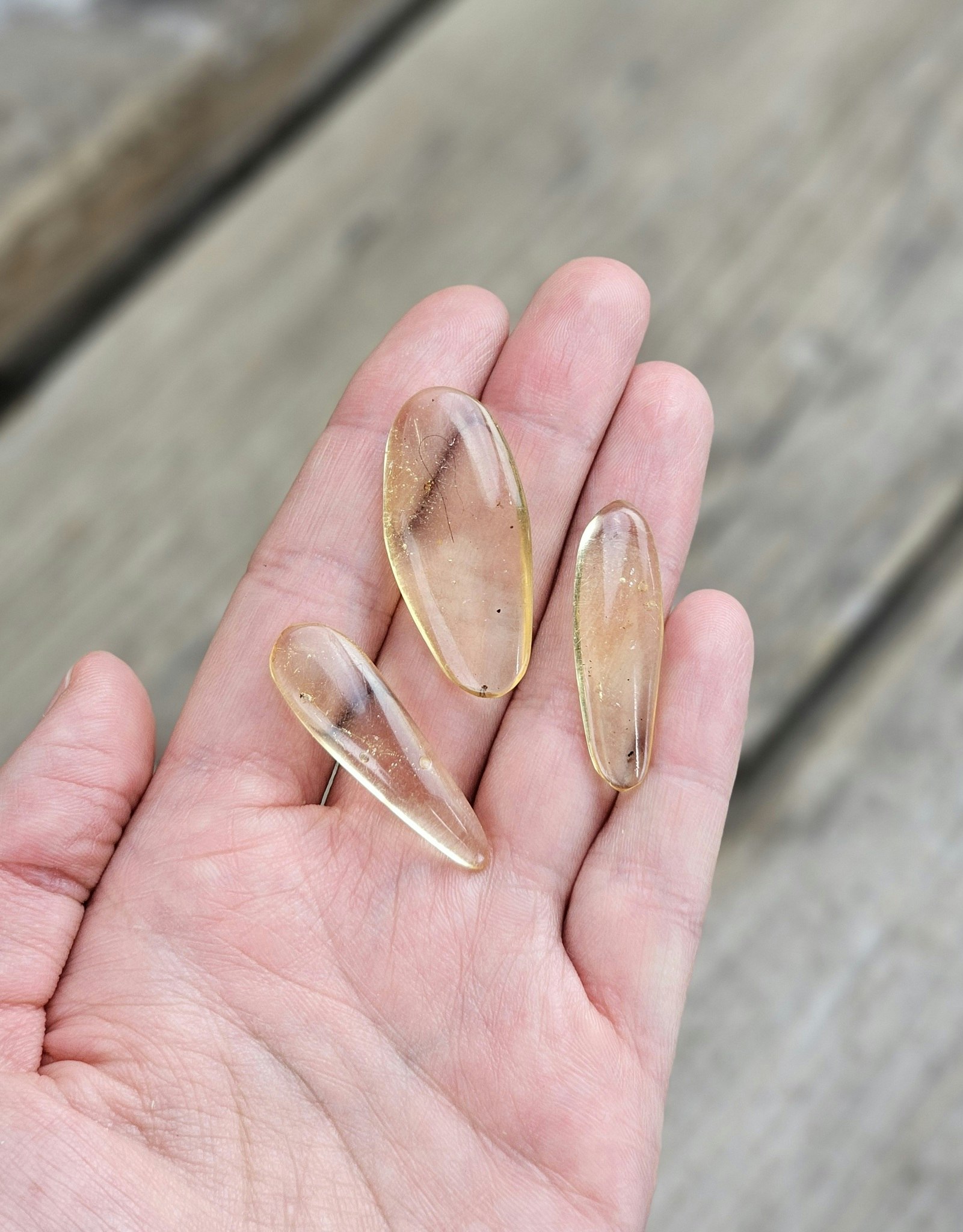 Copal med insekter, kit #1