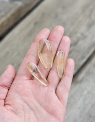 Copal med insekter, kit #1