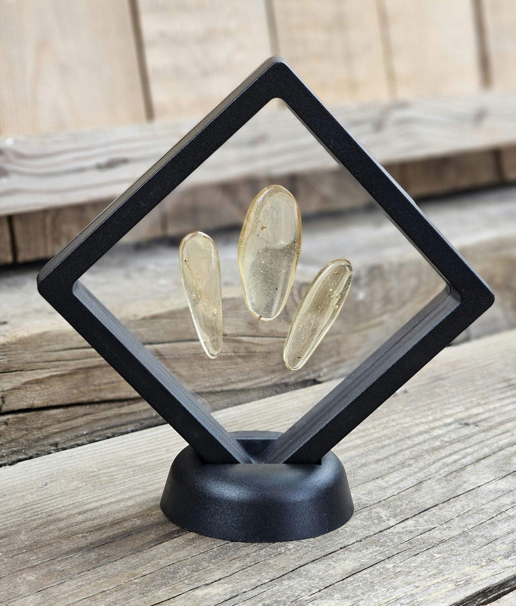 Copal med insekter, kit #1