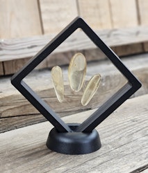 Copal med insekter, kit #1