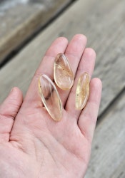 Copal med insekter, kit #3