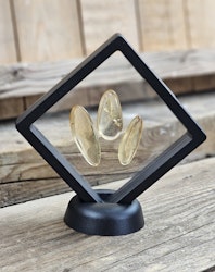 Copal med insekter, kit #3
