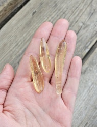Copal med insekter, kit #5