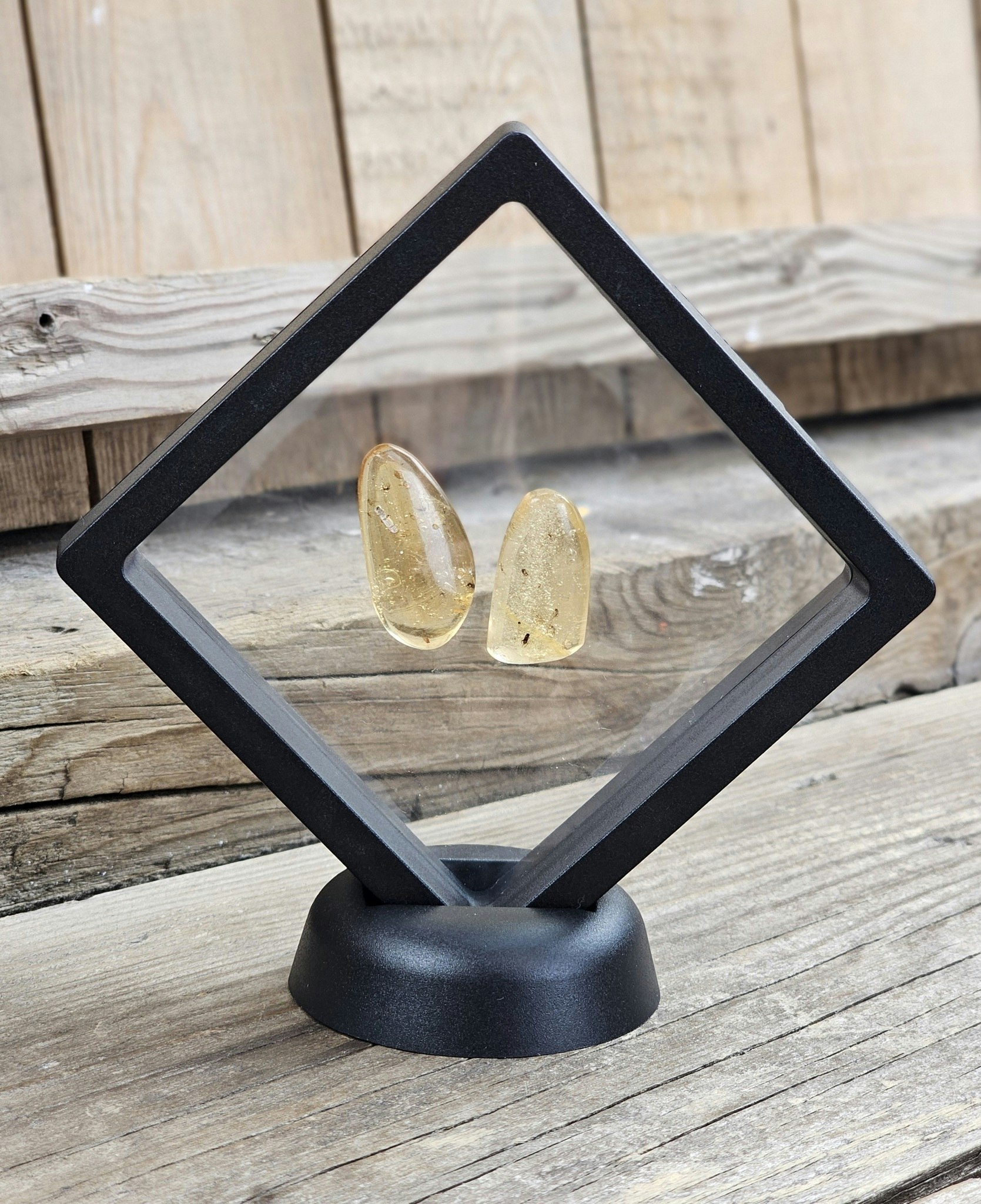 Copal med insekter, kit #6