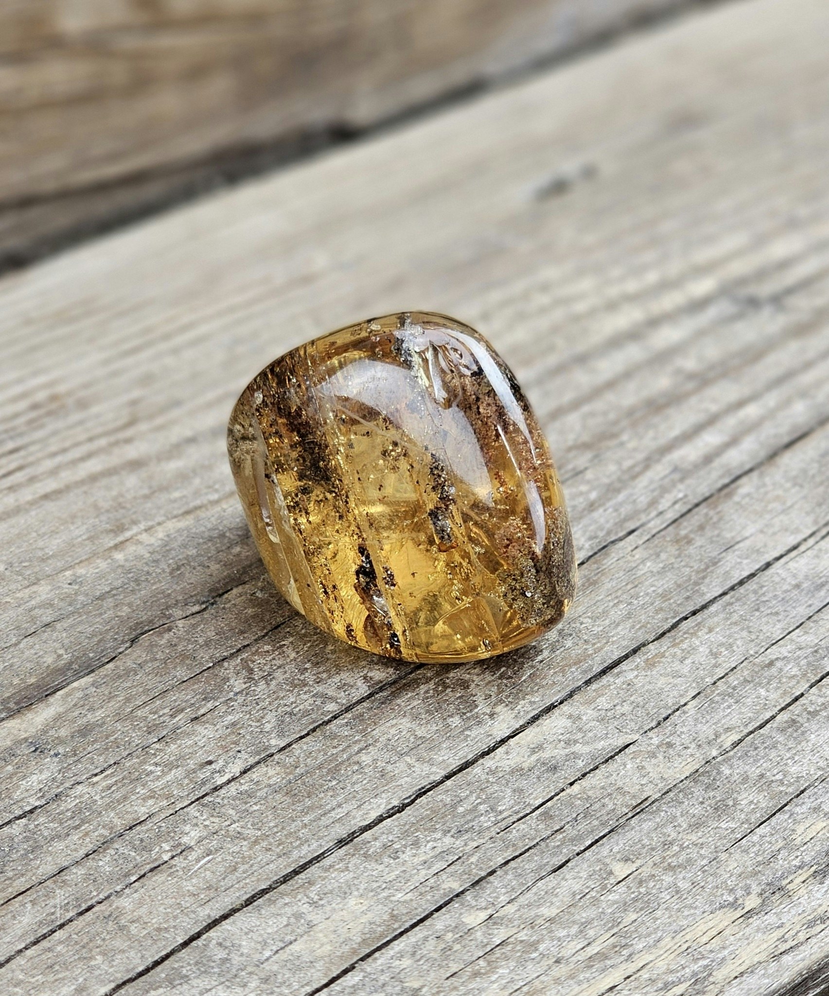 Copal med insekter #10