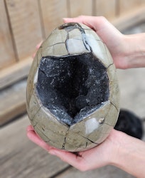 Septarian (Draksten) Ägg, XXL polerad 5,5 kg