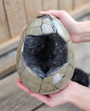 Septarian (Draksten) Ägg, XXL polerad 5,5 kg