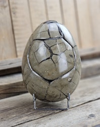 Septarian (Draksten) Ägg, XXL polerad 5,5 kg