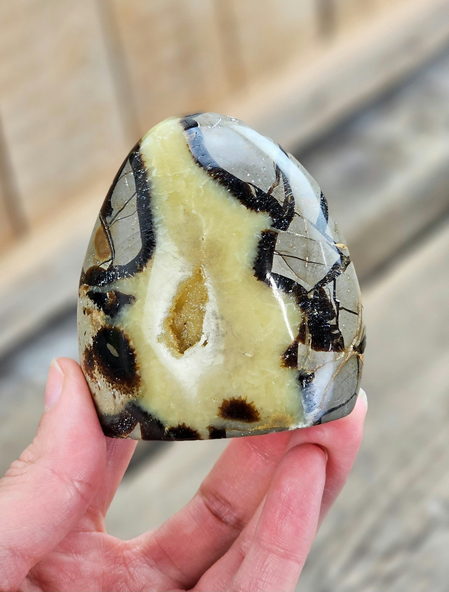 Septarian (Draksten), polerad kristall stående friform #2