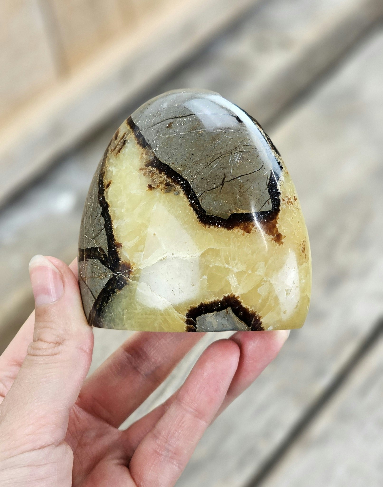 Septarian (Draksten), polerad kristall stående friform #3