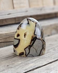 Septarian (Draksten), polerad kristall stående friform #12