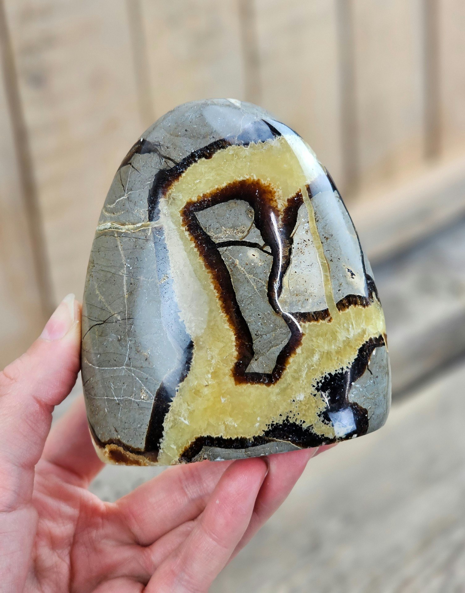 Septarian (Draksten), polerad kristall stående friform #13