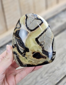 Septarian (Draksten), polerad kristall stående friform #14