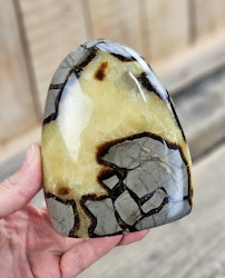 Septarian (Draksten), polerad kristall stående friform #15