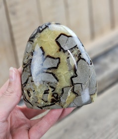 Septarian (Draksten), polerad kristall stående friform #18