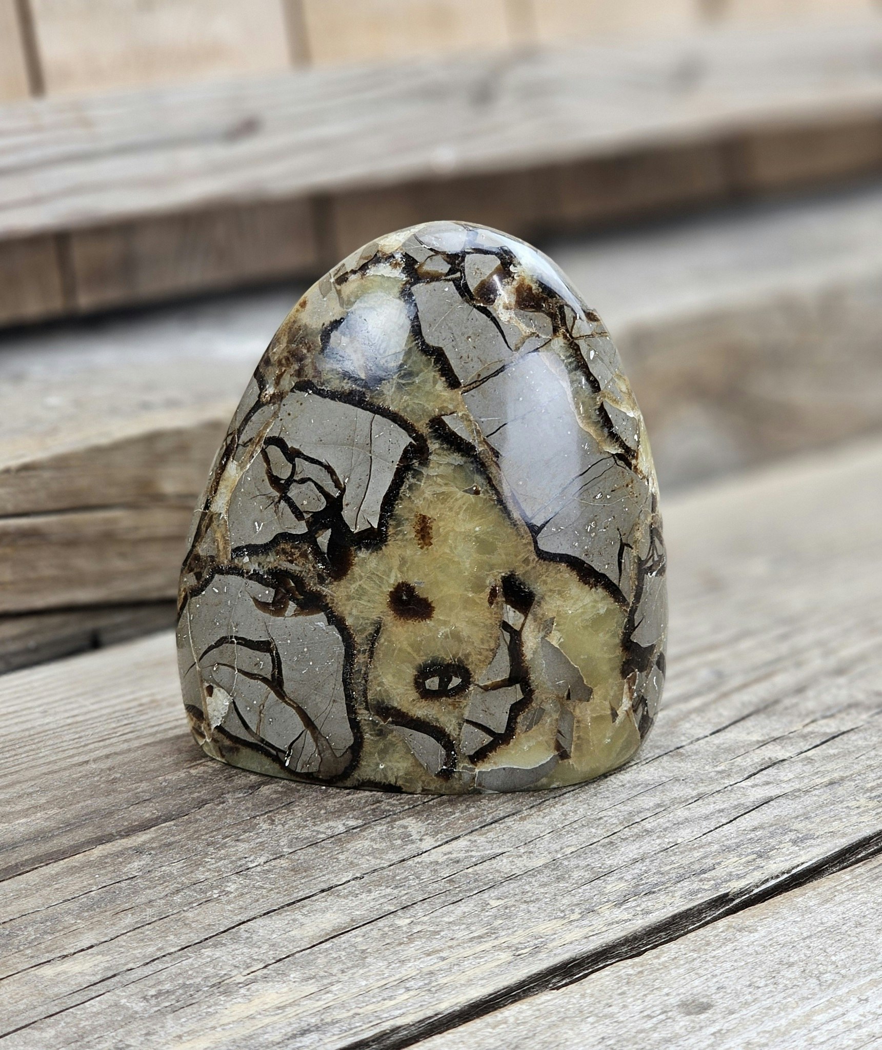 Septarian (Draksten), polerad kristall stående friform #18