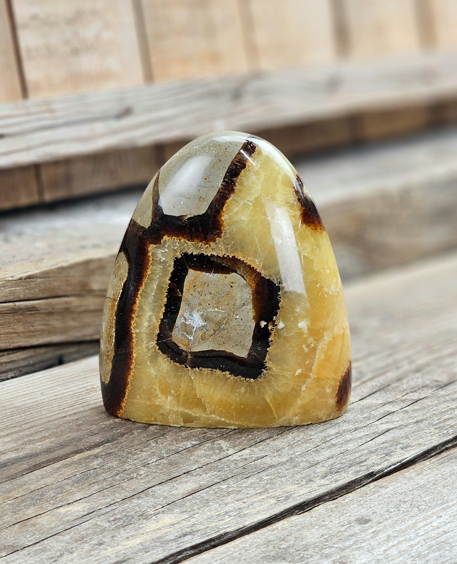 Septarian (Draksten), polerad kristall stående friform