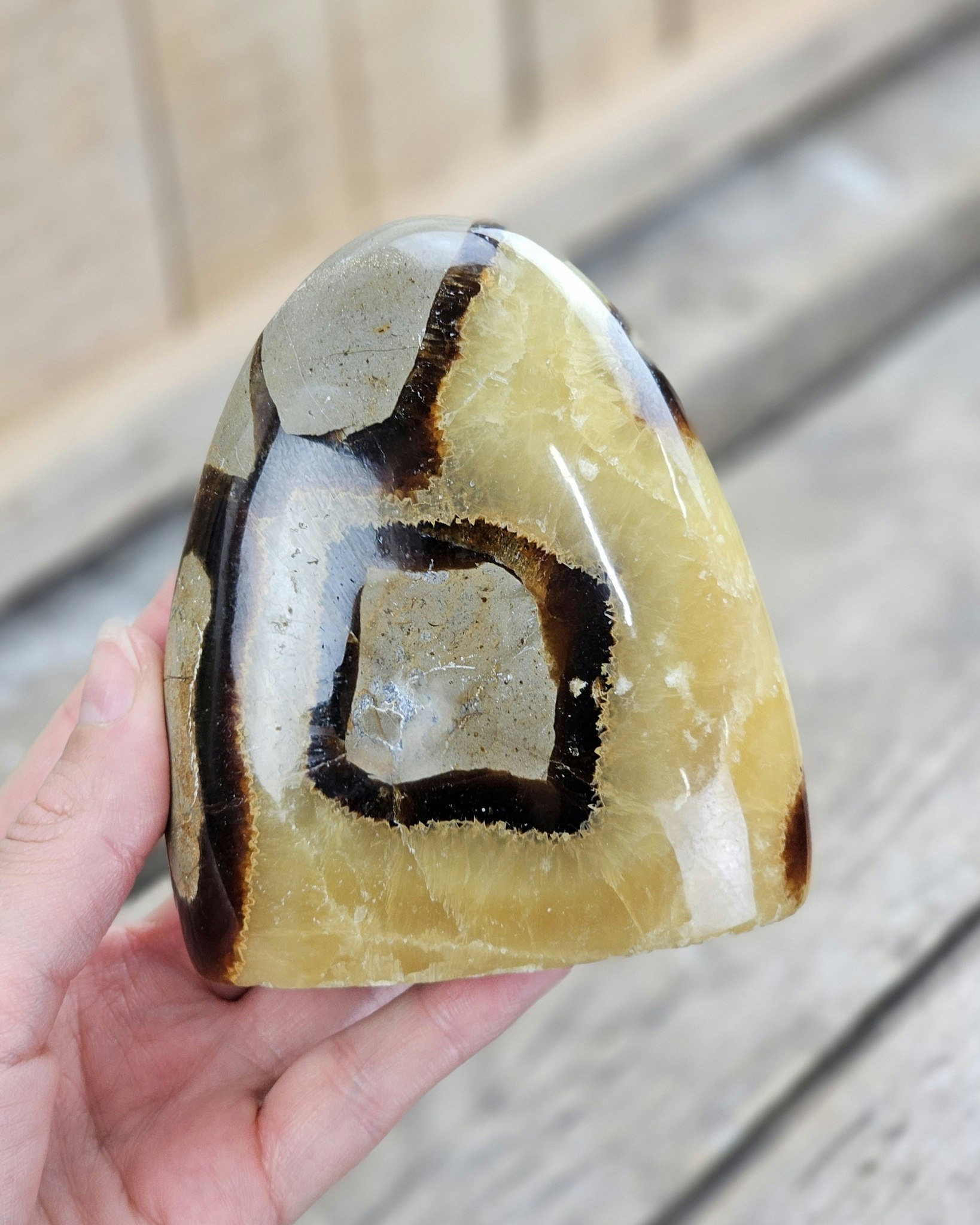 Septarian (Draksten), polerad kristall stående friform