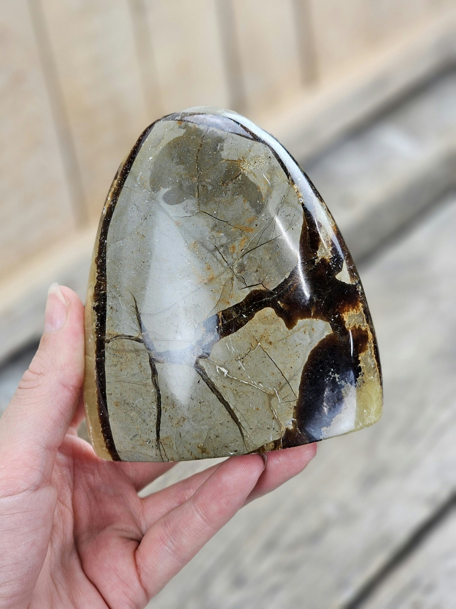 Septarian (Draksten), polerad kristall stående friform