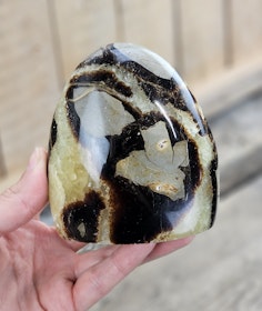 Septarian (Draksten), polerad kristall stående friform #20