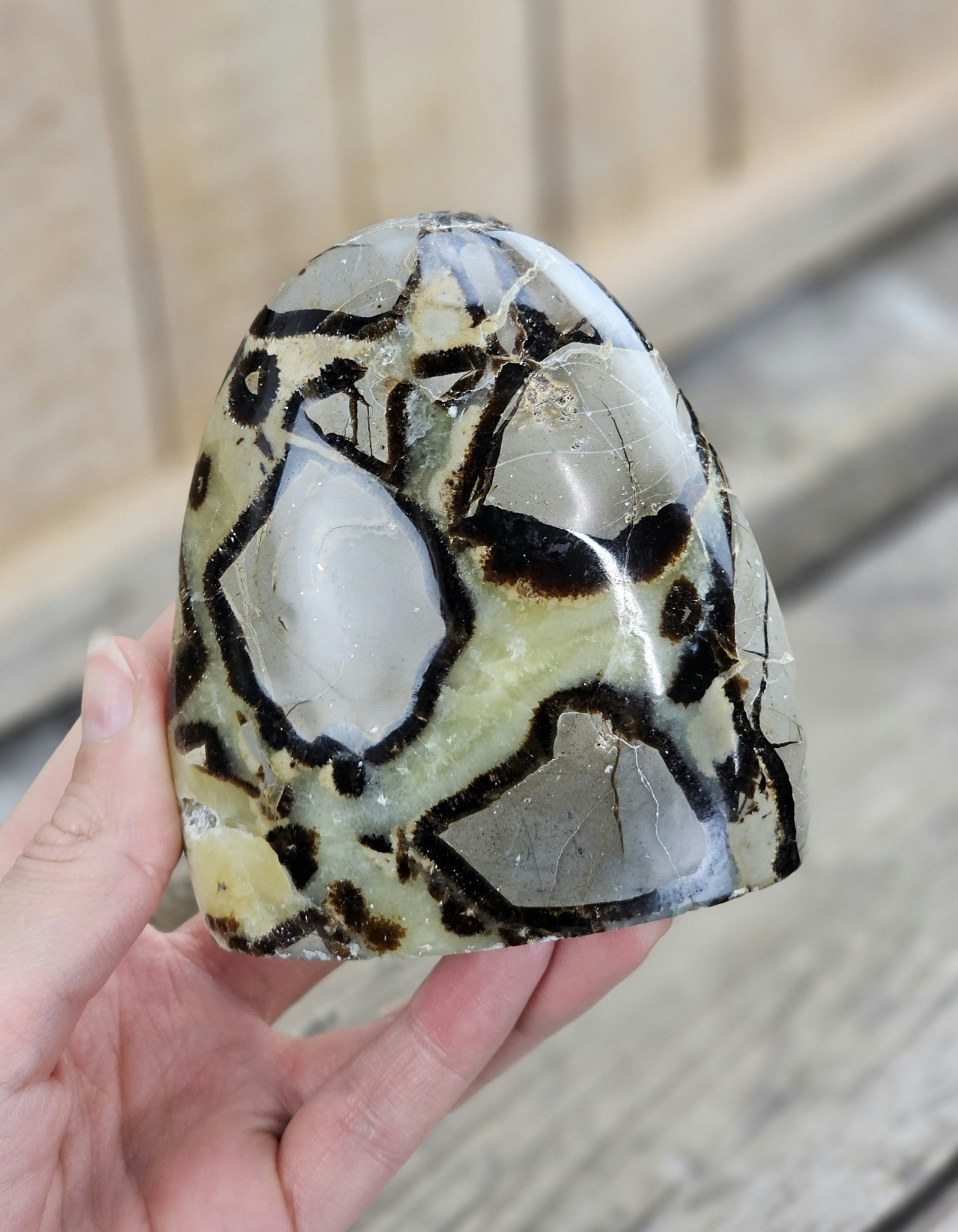 Septarian (Draksten), polerad kristall stående friform #23