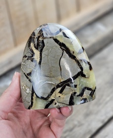 Septarian (Draksten), polerad kristall stående friform #23