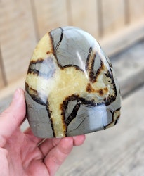 Septarian (Draksten), polerad kristall stående friform #30