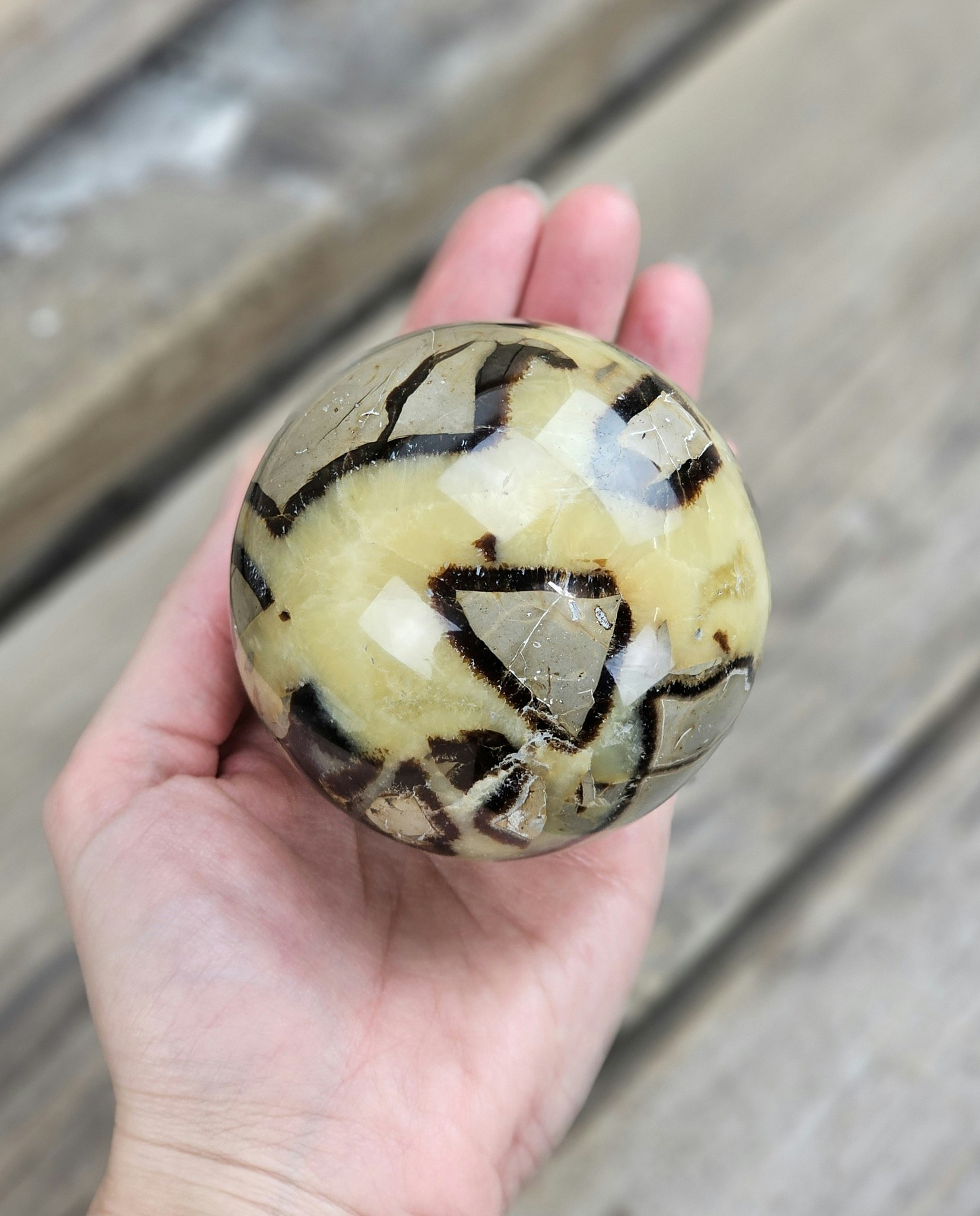 Septarian/Draksten, klot #14