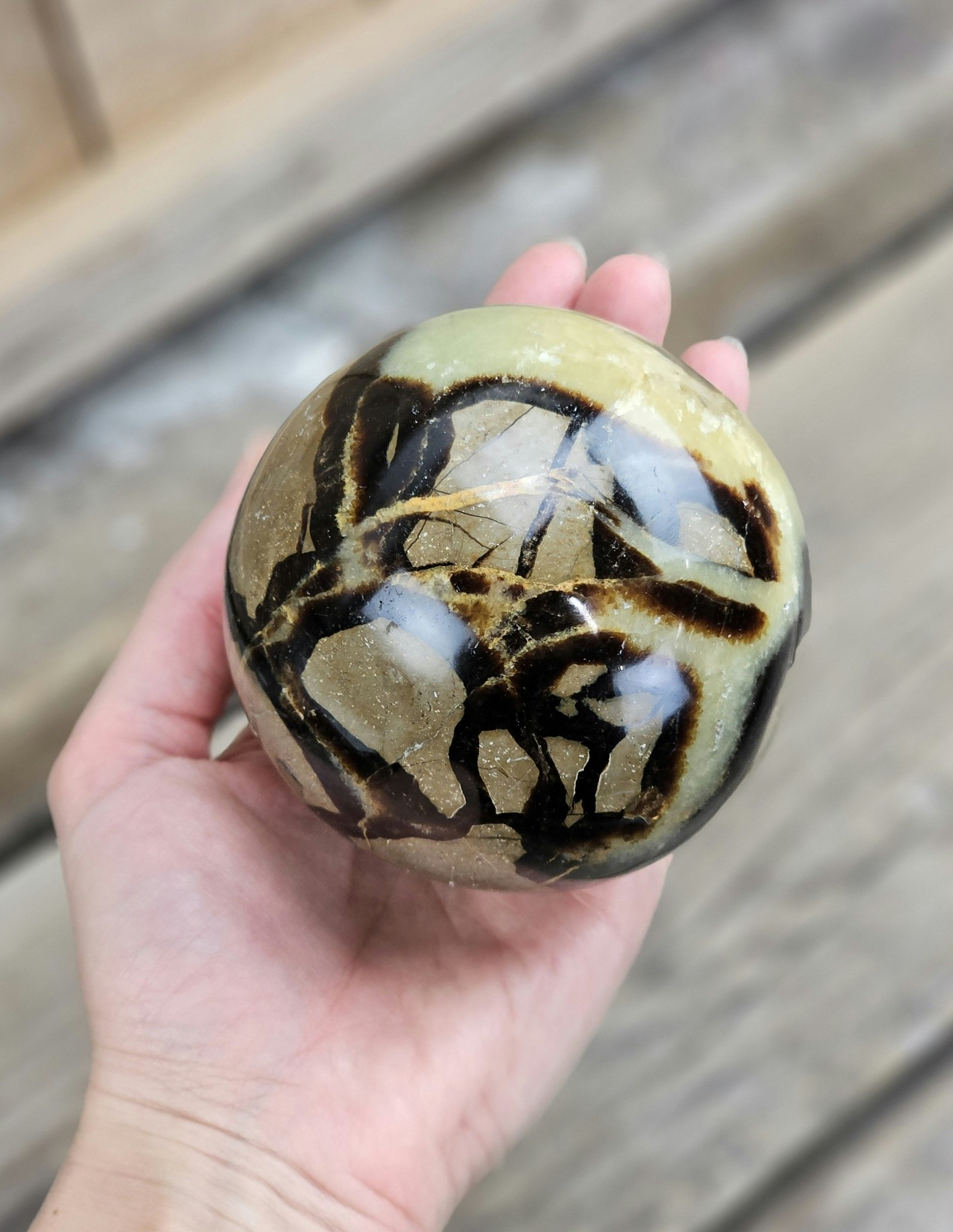 Septarian/Draksten, klot #15