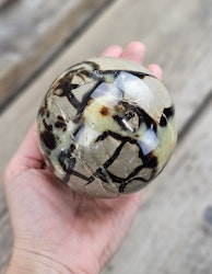 Septarian/Draksten, klot #16