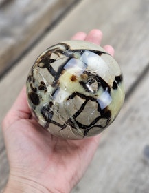 Septarian/Draksten, klot #16