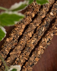 Sagrada Madre Artesano x 5 line - Frankincense, rökelsepinnar