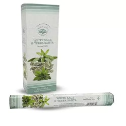 Green Tree - White Sage & Yerba Santa, hexa rökelsepinnar