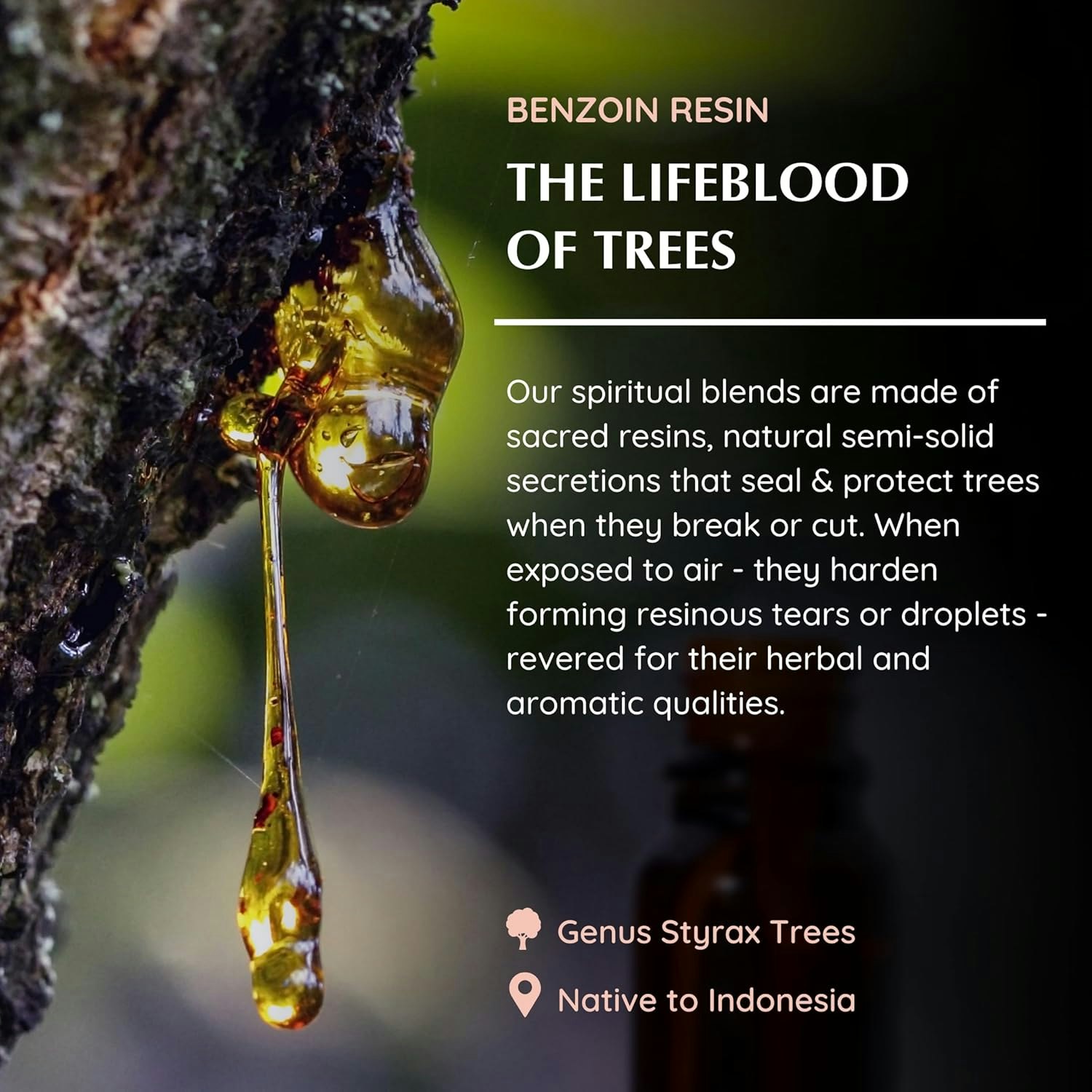 Aromafume - Benzoin, Eterisk olja Aromaterapi