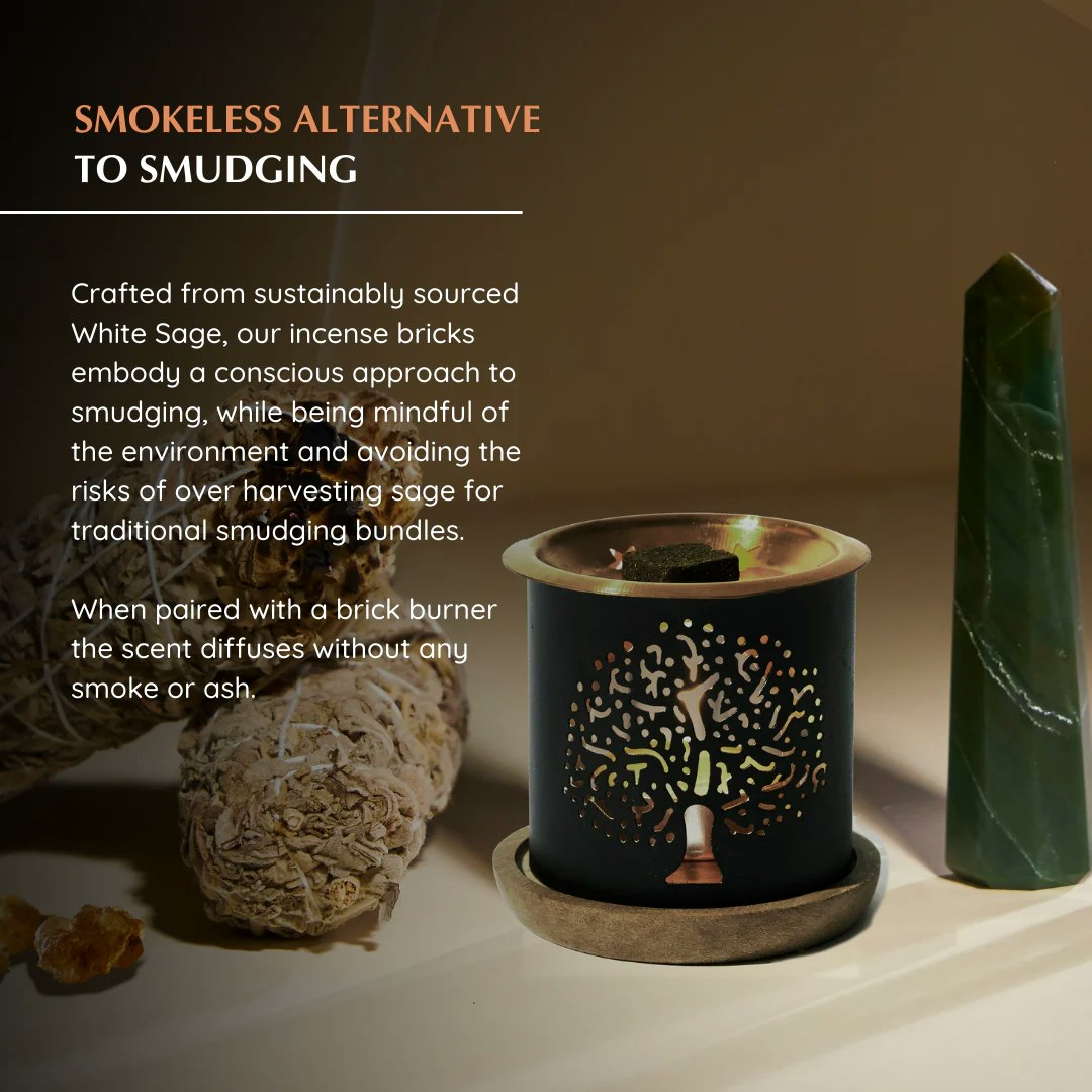 Aromafume - White Sage & Frankincense, rökelsebrickor
