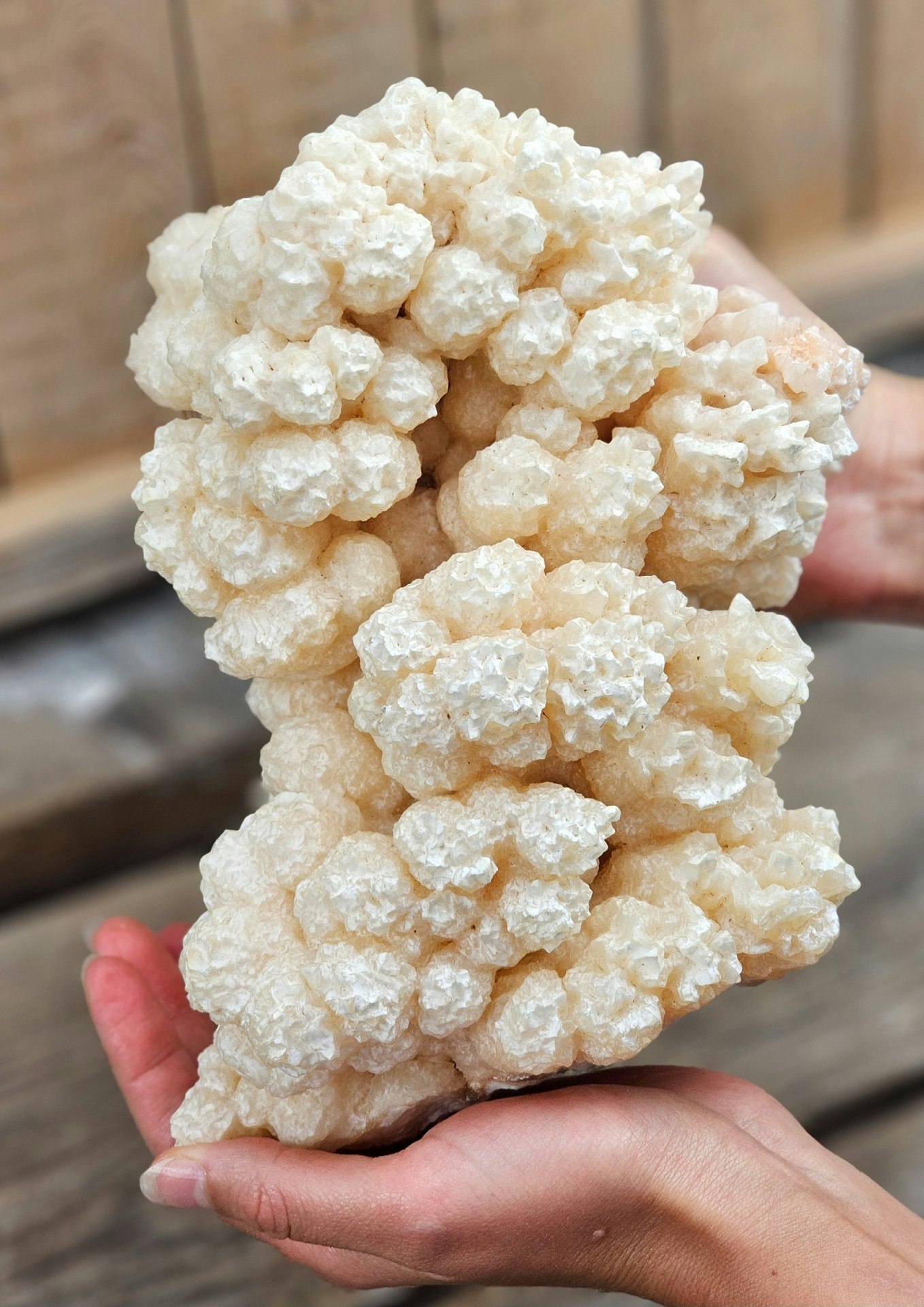 Stalaktit Aragonit/Popcorn Kalcit