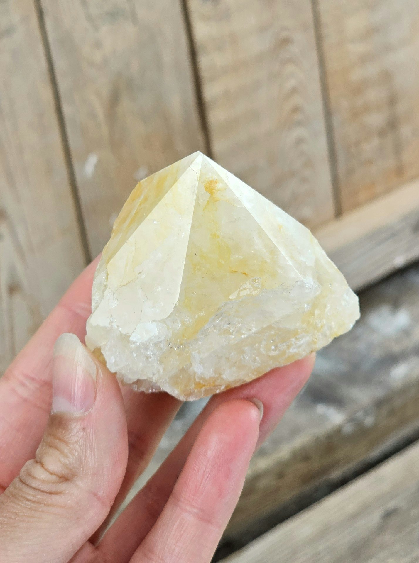 Stående spets, Golden Healer #4