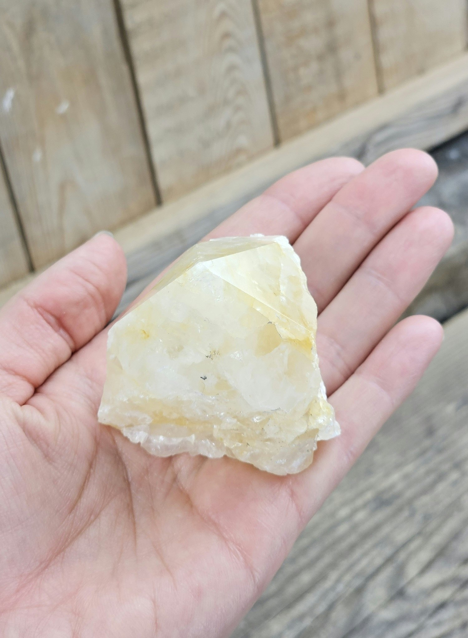 Stående spets, Golden Healer #4