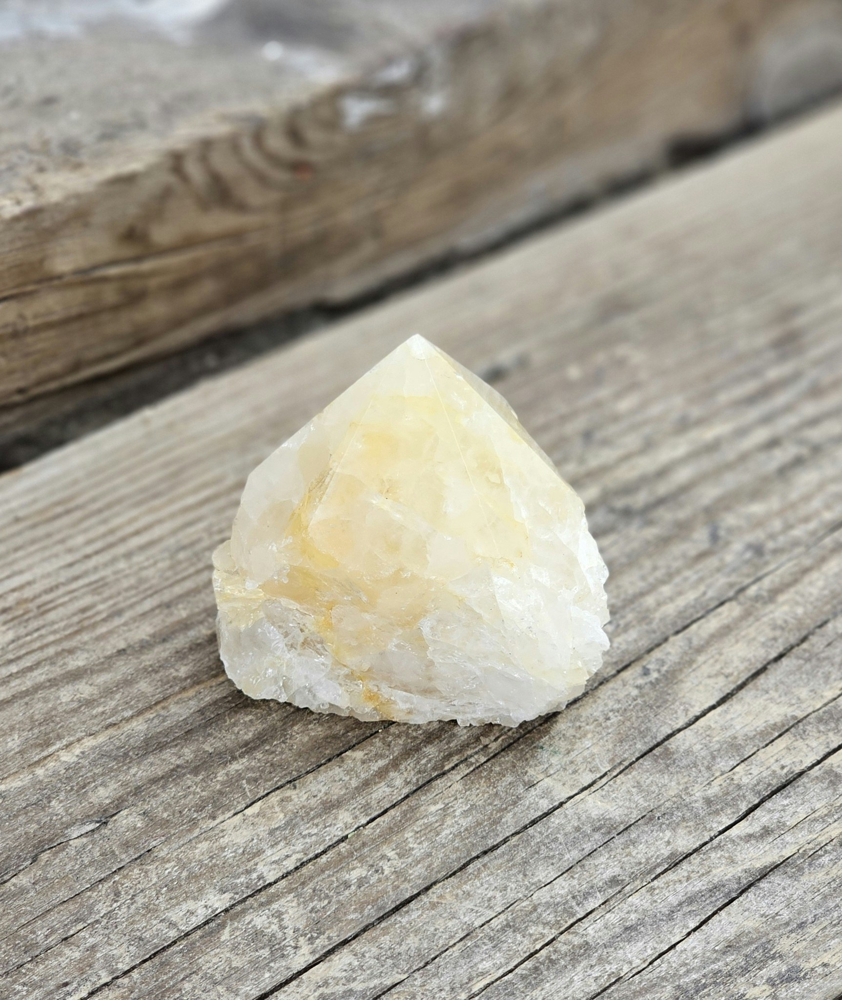 Stående spets, Golden Healer #4
